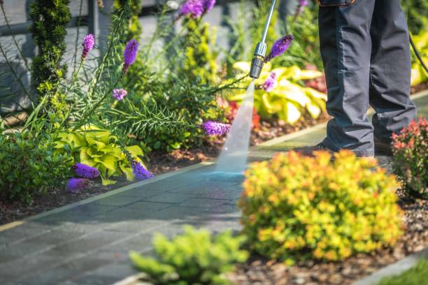 Best Parking Lot and Garage Cleaning  in Carterville, MO