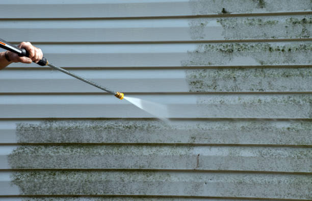 Trusted Carterville, MO Pressure Washing Services Experts